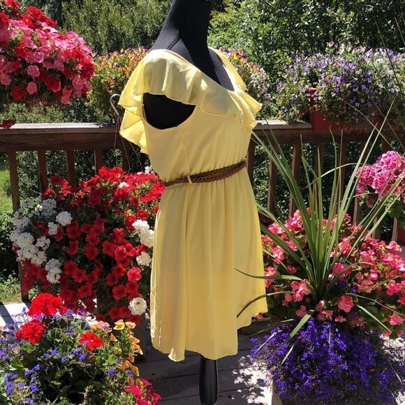 Braided Belt Flutter dress - Picture 5 of 6